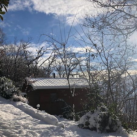 "La Romantica" Rifugio Nel Bosco Astano Zewnętrze zdjęcie