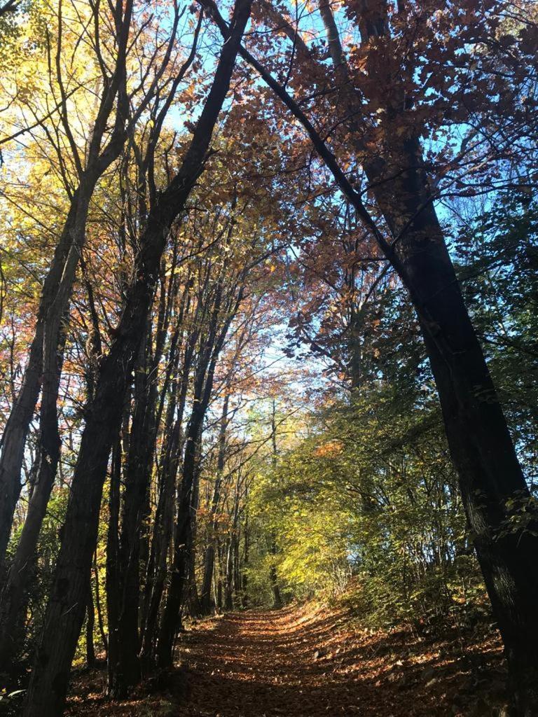 "La Romantica" Rifugio Nel Bosco Astano Zewnętrze zdjęcie