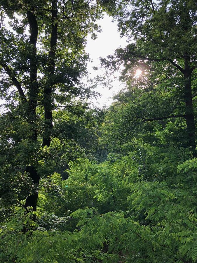 "La Romantica" Rifugio Nel Bosco Astano Zewnętrze zdjęcie