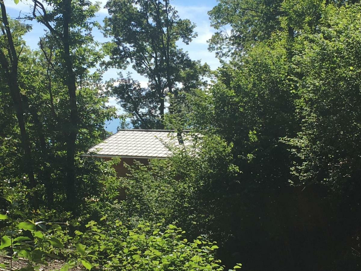 "La Romantica" Rifugio Nel Bosco Astano Zewnętrze zdjęcie