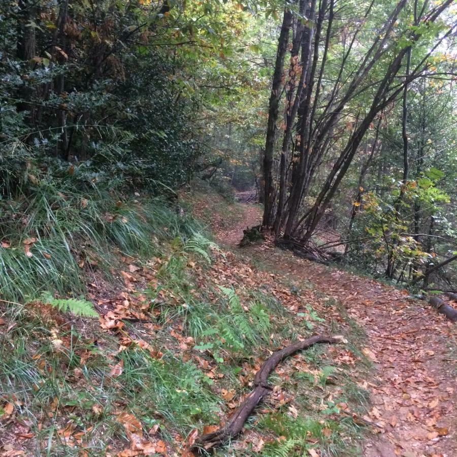 "La Romantica" Rifugio Nel Bosco Astano Zewnętrze zdjęcie